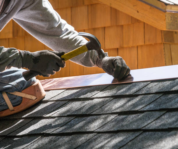 Roof Gutter Cleaning in Clarksville, TN